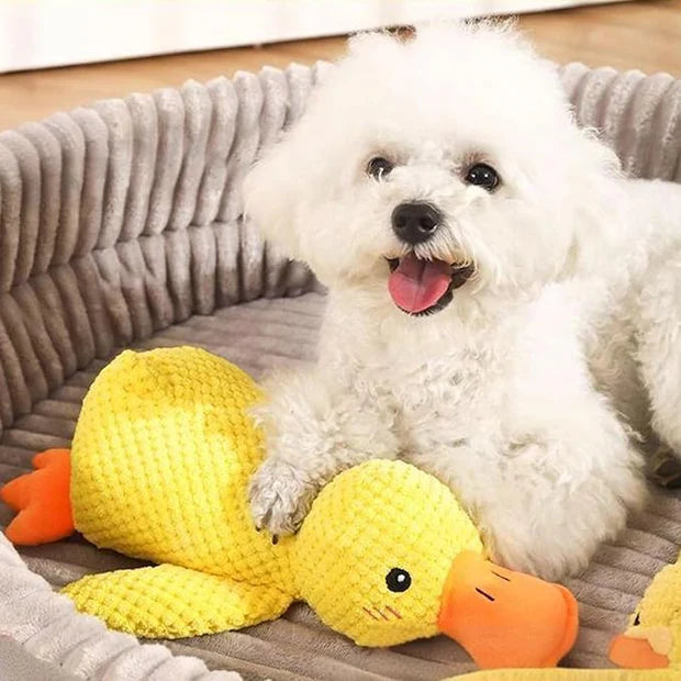 Canard à Mâcher Anti-Stress pour Chien | CalinCanin™ - Le Pelage