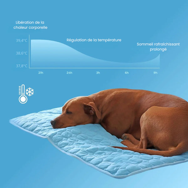FreshPad™ – Tapis Rafraîchissant pour Chien  | Le Pelage - Le Pelage