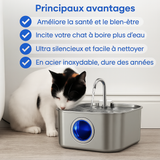 Félinox™ | Fontaine Intelligente Anti-Maladies Rénales - Le Pelage