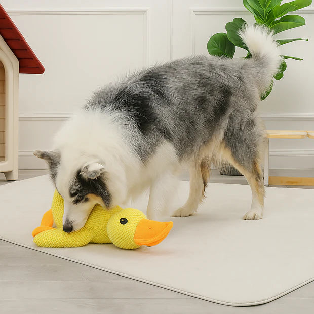 Canard à Mâcher Anti-Stress pour Chien | CalinCanin™ - Le Pelage