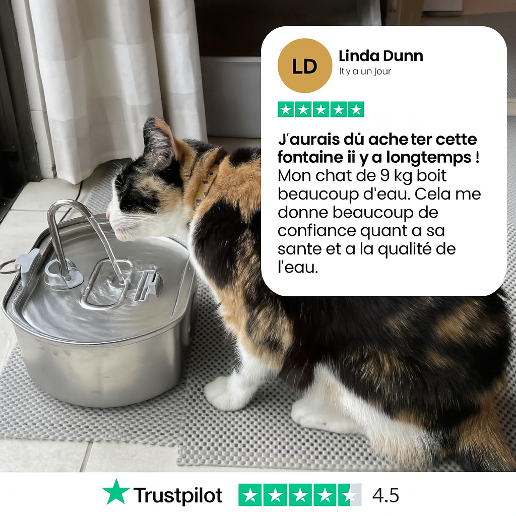 Félinox™ | Fontaine Intelligente Anti-Maladies Rénales - Le Pelage