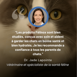 Félinox™ | Fontaine Intelligente Anti-Maladies Rénales - Le Pelage