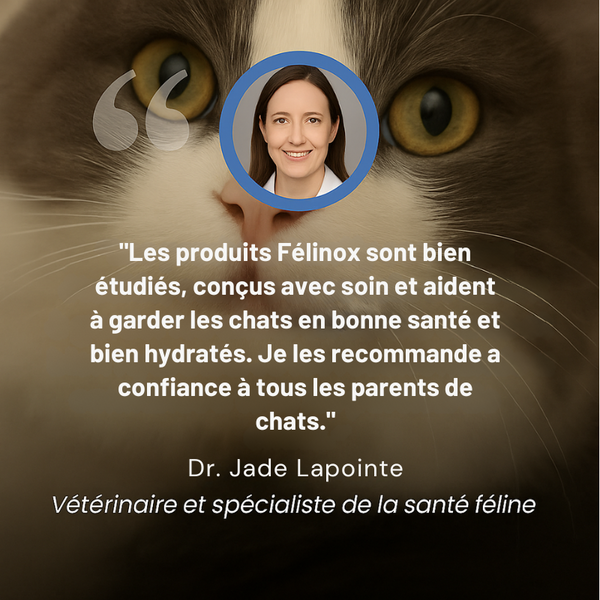 Félinox™ | Fontaine Intelligente Anti-Maladies Rénales - Le Pelage