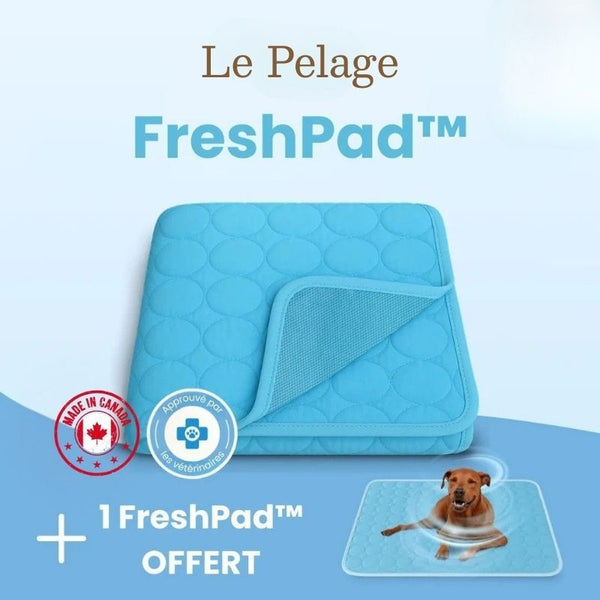 FreshPad™ – Tapis Rafraîchissant pour Chien  | Le Pelage - Le Pelage