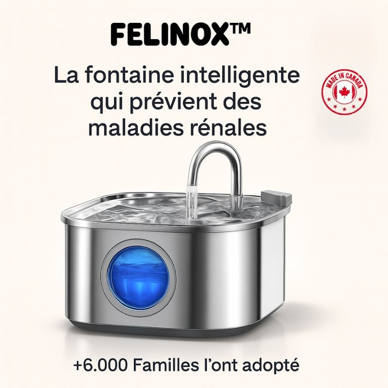 Félinox™ | Fontaine Intelligente Anti-Maladies Rénales - Le Pelage