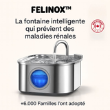 Félinox™ | Fontaine Intelligente Anti-Maladies Rénales - Le Pelage