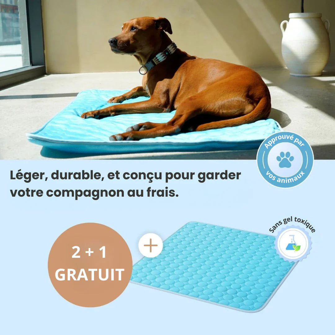 FreshPad™ – Tapis Rafraîchissant pour Chien  | Le Pelage - Le Pelage