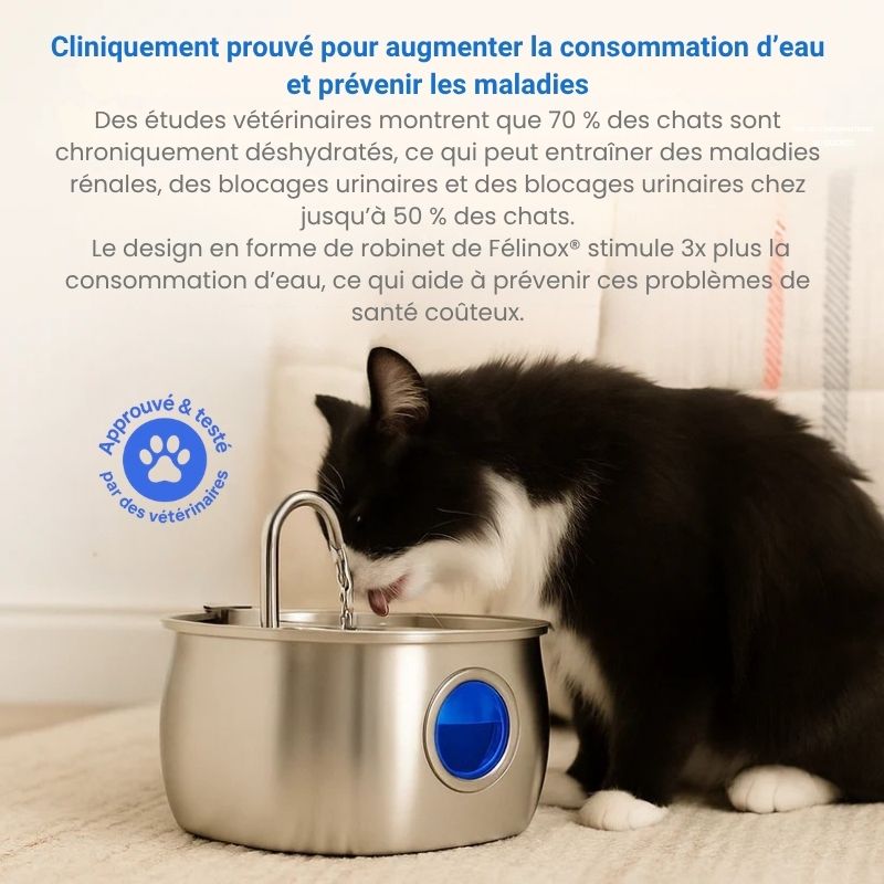 Félinox™ | Fontaine Intelligente Anti-Maladies Rénales - Le Pelage