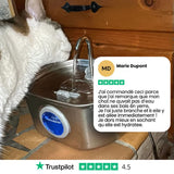 Félinox™ | Fontaine Intelligente Anti-Maladies Rénales - Le Pelage