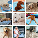 FreshPad™ – Tapis Rafraîchissant pour Chien  | Le Pelage - Le Pelage