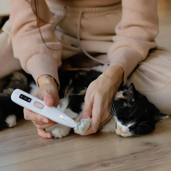 Tondeuse de Précision LED Le Pelage™ | Moins de poils. Moins de chaleur. - Le Pelage