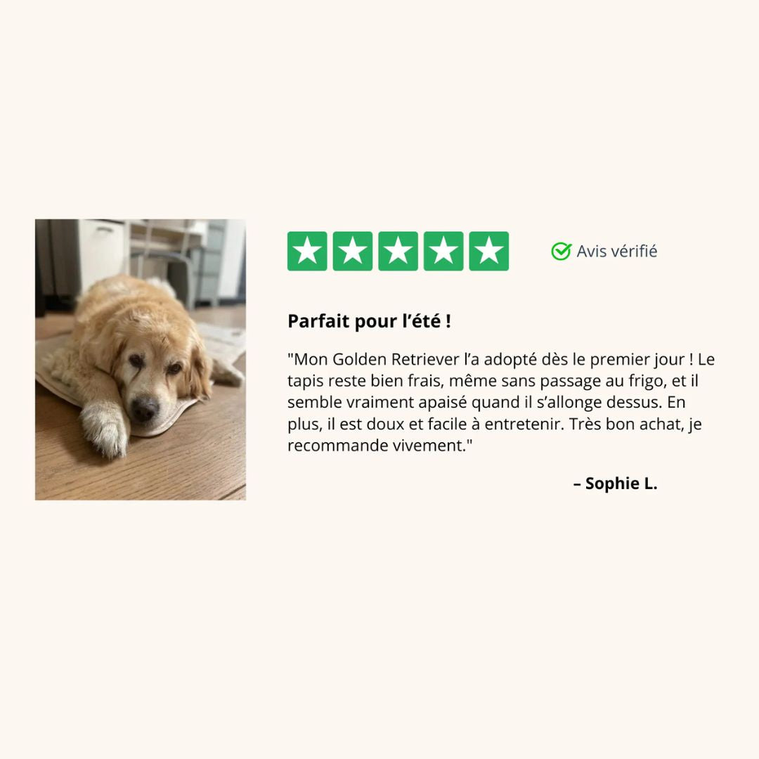 FreshPad™ – Tapis Rafraîchissant pour Chien  | Le Pelage - Le Pelage