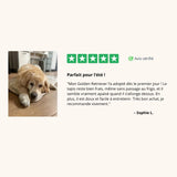 FreshPad™ – Tapis Rafraîchissant pour Chien  | Le Pelage - Le Pelage