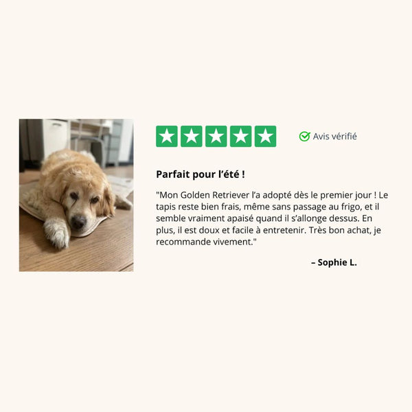 FreshPad™ – Tapis Rafraîchissant pour Chien  | Le Pelage - Le Pelage