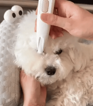 Tondeuse de Précision LED Le Pelage™ | Moins de poils. Moins de chaleur. - Le Pelage