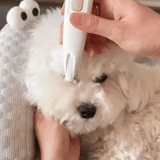 Tondeuse de Précision LED Le Pelage™ | Moins de poils. Moins de chaleur. - Le Pelage